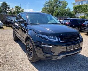 Land Rover Land Rover Evoque SE,Black Edition,Panorama,Leder, Gebrauchtwagen