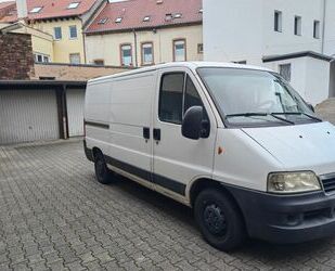 Fiat Fiat Ducato Gebrauchtwagen