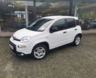 Fiat Fiat Panda 1.0 GSE Hybrid Gebrauchtwagen