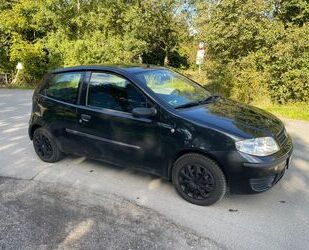 Fiat Fiat Punto 1.2 / Perfekt f. Fahranfänger mit TÜV Gebrauchtwagen