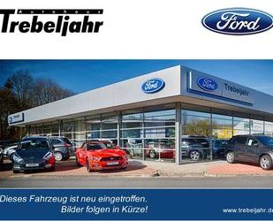 Ford Ford Fiesta 1.0 EcoBoost Active Navi RFK Sitz+Lenk Gebrauchtwagen