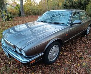 Jaguar Jaguar XJ6 3.2, Executive, TOP Zustand, Sammlerstü Gebrauchtwagen