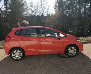 Honda Honda Jazz 1.3 i-VTEC Trend Trend Gebrauchtwagen