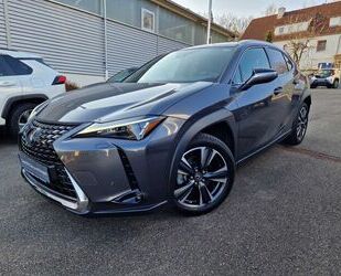 Lexus Lexus UX 250h Style Edition PDC/NAVI/SRA Gebrauchtwagen