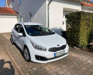 Kia Kia ceed / Ceed 1.0 T-GDI 100 Edition 7 Sportsw. Gebrauchtwagen