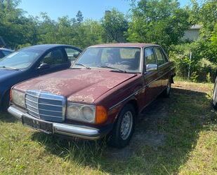 Mercedes-Benz Mercedes-Benz 240D W123 Gebrauchtwagen