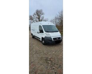 Fiat Fiat Ducato 250 H2 L2 Gebrauchtwagen