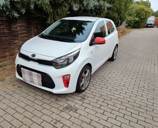 Kia Kia Picanto 1.2 Edition 7 Edition 7 Gebrauchtwagen