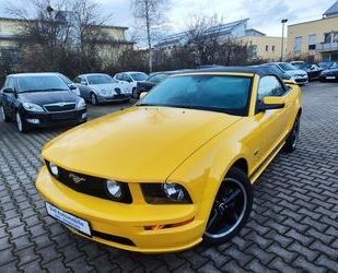 Ford Ford Mustang GT 4.6 V8 Cabrio SPORT-PK LEDER*SCHAL Gebrauchtwagen