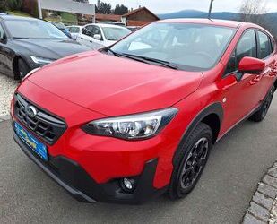 Subaru Subaru XV 1.6i Trend Lineartronic 4WD. 1Hd. AHK Gebrauchtwagen