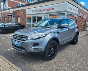 Land Rover Land Rover Range Rover 2.2 Evoque Pure Panorama-Da Gebrauchtwagen