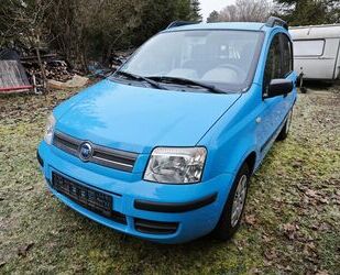 Fiat Fiat Panda 1.1 sehr guter Zustand, wenig KM Gebrauchtwagen