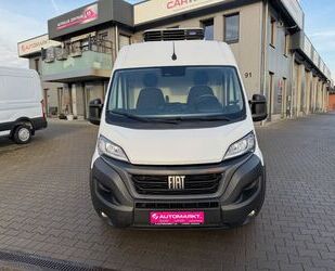 Fiat Ducato Gebrauchtwagen