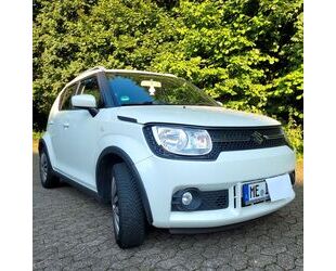 Suzuki Suzuki Ignis 1.2 DUALJET Comfort Comfort Gebrauchtwagen