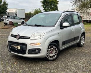 Fiat Fiat Panda 1.3 Multijet Lounge *KLIMA* Gebrauchtwagen