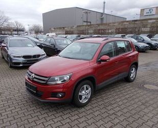 VW Volkswagen Tiguan Trend & Fun AHK zus.Winterräder Gebrauchtwagen