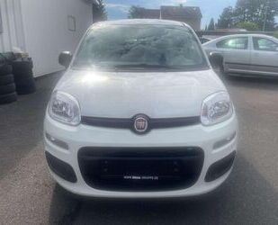 Fiat Fiat Panda Pop Euro 6 Klimaanlage Gebrauchtwagen