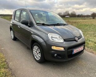 Fiat Fiat Panda Easy Gebrauchtwagen