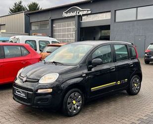 Fiat Fiat Panda Young/Klima/Standheizung/AHK/ZV/TÜV 08. Gebrauchtwagen