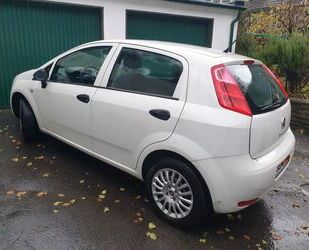 Fiat Fiat Punto 1.2 8V - Gebrauchtwagen