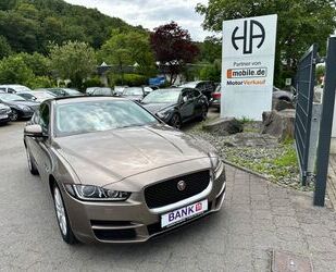 Jaguar Jaguar XE Prestige*10-WEGE*KAMERA*LEDER*8-FACH*SPO Gebrauchtwagen