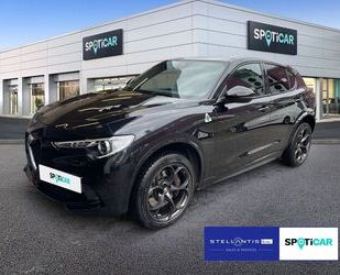 Alfa Romeo Alfa Romeo Stelvio V6 2.9 Bi-Turbo AT8-Q4 Quadrifo Gebrauchtwagen