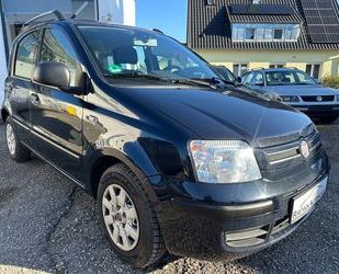 Fiat Fiat Panda 1.2 8V Dynamic*Klima Gebrauchtwagen