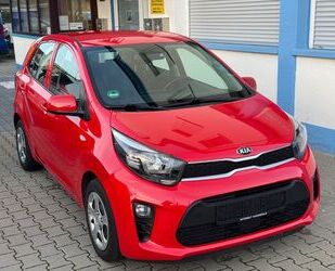 Kia Kia Picanto Edition 7 Gebrauchtwagen