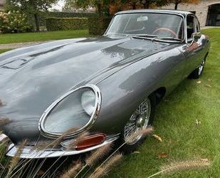 Jaguar Jaguar JAGUAR E-Type coupe Serie 1 4,2 1965 Gebrauchtwagen