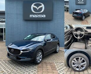 Mazda Mazda CX-30 SELECTION ACTIVE-PAKET inkl. AHK Gebrauchtwagen