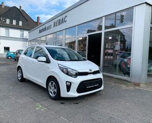 Kia Kia Picanto Edition 7 Gebrauchtwagen