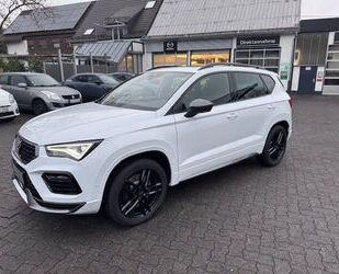 Cupra Cupra Ateca 2.0 TSI Basis 4Drive mit AHK und Winte Gebrauchtwagen