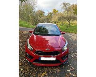 Kia Kia ceed / Ceed 1.6 T-GDI GT-Track Gebrauchtwagen