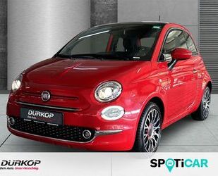 Fiat Fiat 500 1.0 Mild Hybrid Red Panodach Einparkhilfe Gebrauchtwagen