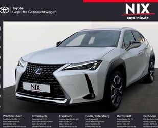 Lexus Lexus UX 250h Amazing Edition Gebrauchtwagen