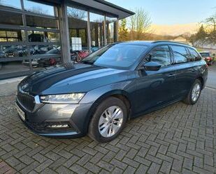 Skoda Skoda Octavia Combi Ambition Gebrauchtwagen