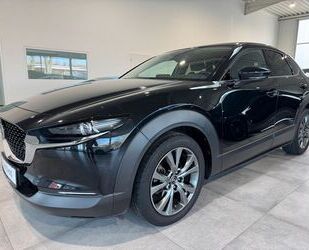 Mazda Mazda CX-30 Headup/PDC/Kamera/ACC/CarPlay/Android Gebrauchtwagen