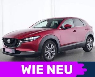 Mazda Mazda CX-30 Selection ACC|360°Kamera|HuD|SHZ|Navi| Gebrauchtwagen