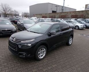 Citroen Citroën C4 Cactus Shine, PanoDach, Navi, Sitzheizu Gebrauchtwagen