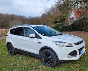 Ford Ford Kuga 1,6 EcoBoost 2x4 110kW SYNC Edition SYN. Gebrauchtwagen