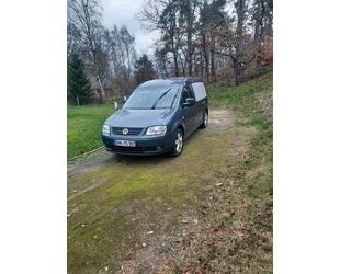 VW Volkswagen Caddy Maxi Life 1.6 Bestattungswagen Gebrauchtwagen