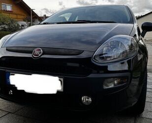 Fiat Fiat Punto Evo Gebrauchtwagen