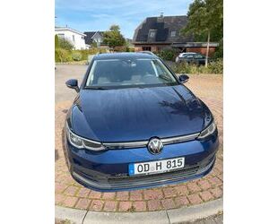 VW Volkswagen Golf 1.5 eTSI OPF 96kW DSG ACTIVE Varia Gebrauchtwagen