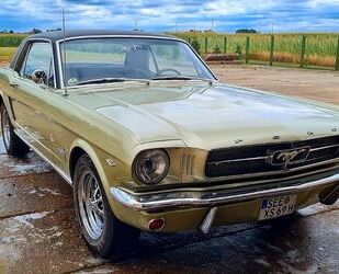 Ford Ford Mustang 289 Bj. 1965 Hardtop Coupé V8 Gebrauchtwagen