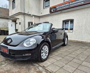 VW Volkswagen Beetle Cabriolet 1.2 TSi BMT*Leder-Alu- Gebrauchtwagen