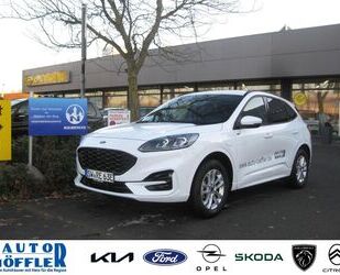 Ford Ford Kuga 2.5 ST-Line X Klima Navi SHZ LHZ FHZ PDC Gebrauchtwagen