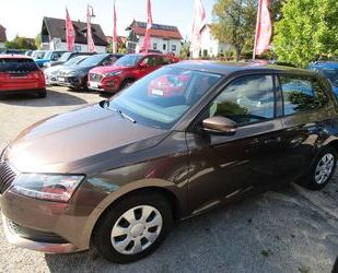 Skoda Skoda Fabia Active+WR Gebrauchtwagen