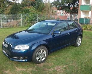 Audi Audi A3 1.6 TDI (DPF) 77kW Ambiente Ambiente Gebrauchtwagen