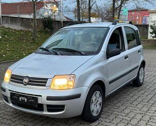 Fiat Fiat Panda 1.2 8V Dynamic Gebrauchtwagen