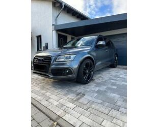 Audi Audi SQ5 3.0 TDI competition black line Gebrauchtwagen